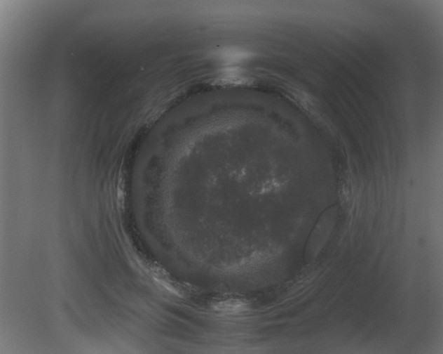 X0000081430551200701121305