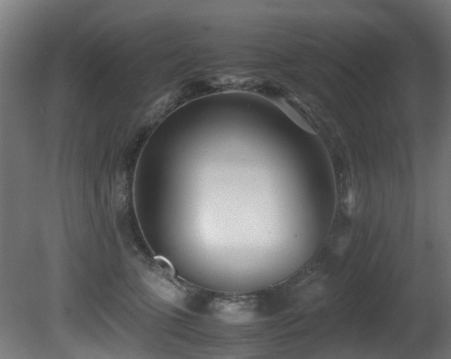 X0000081430563200701121305