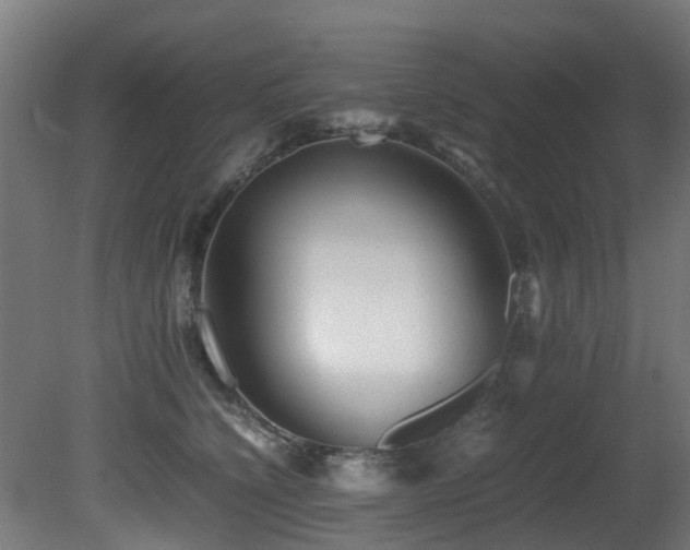 X0000081430564200701121305