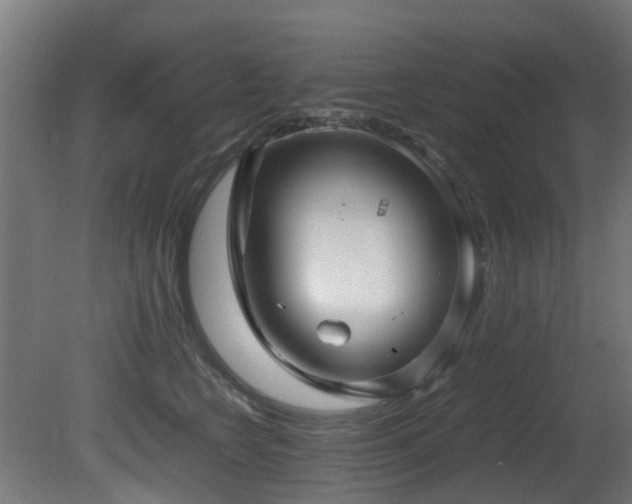 X0000081430566200701121305