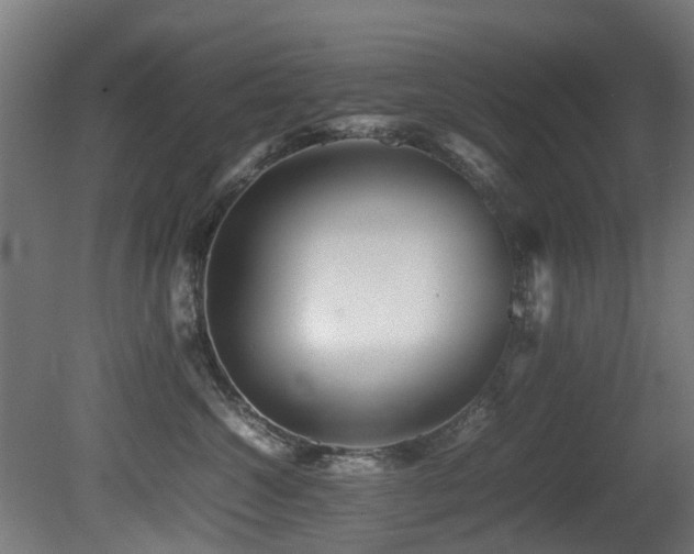 X0000081430572200701121305