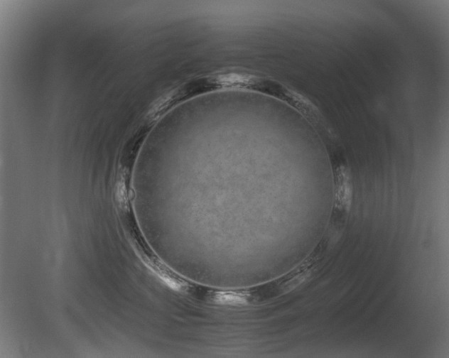 X0000081430573200701121305
