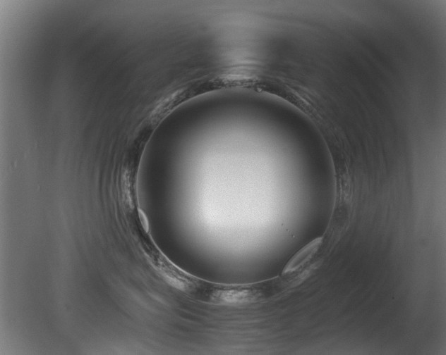 X0000081430575200701121305