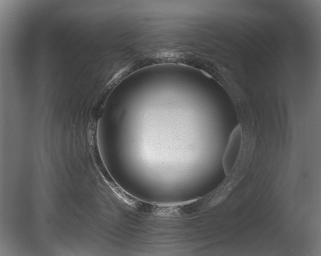 X0000081430576200701121305