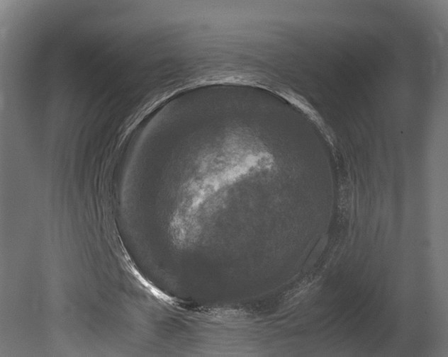 X0000081430577200701121304