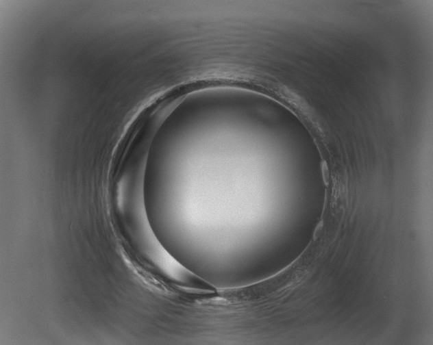 X0000081430580200701121304