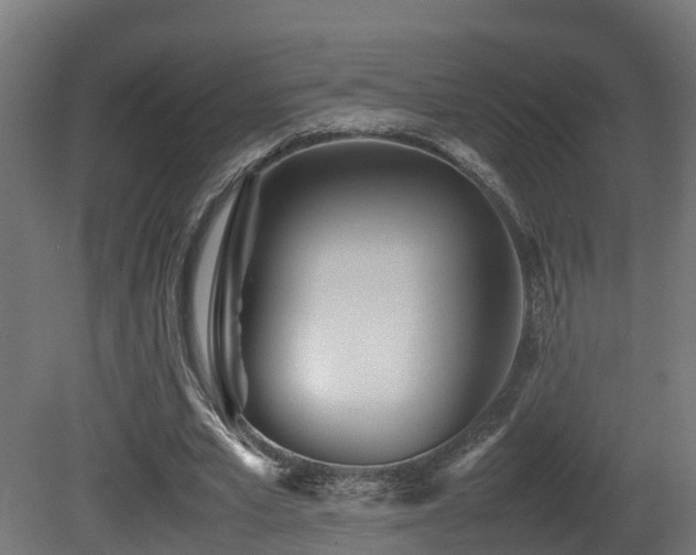 X0000081430581200701121304