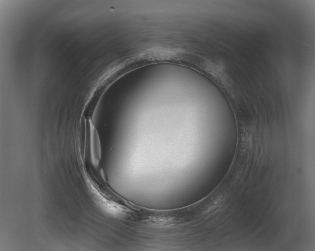 X0000081430582200701121304