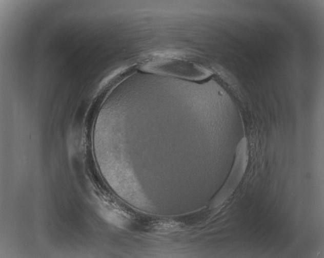 X0000081430583200701121304