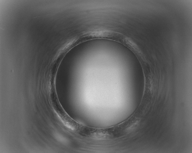X0000081430586200701121304