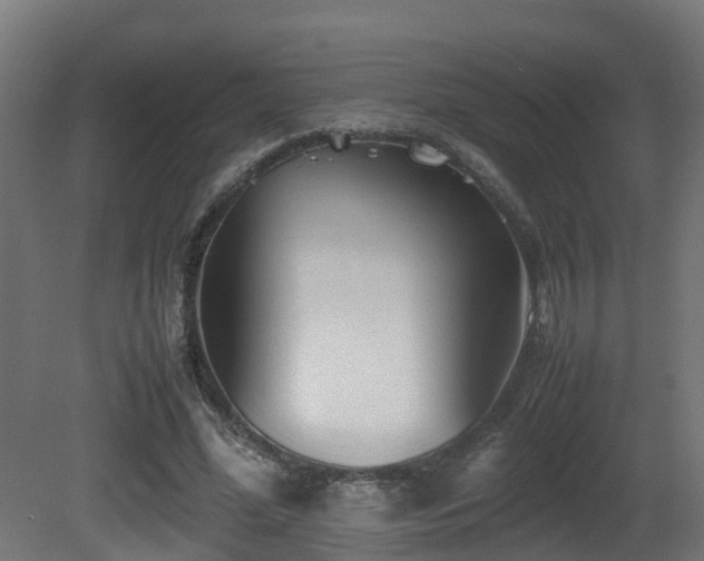 X0000081430588200701121304