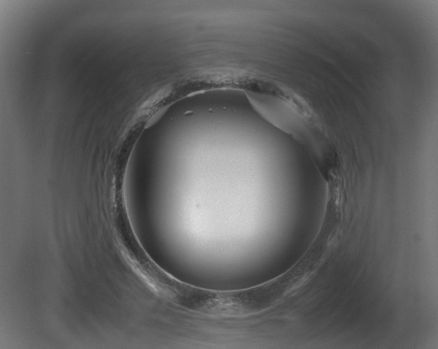 X0000081430589200701121304
