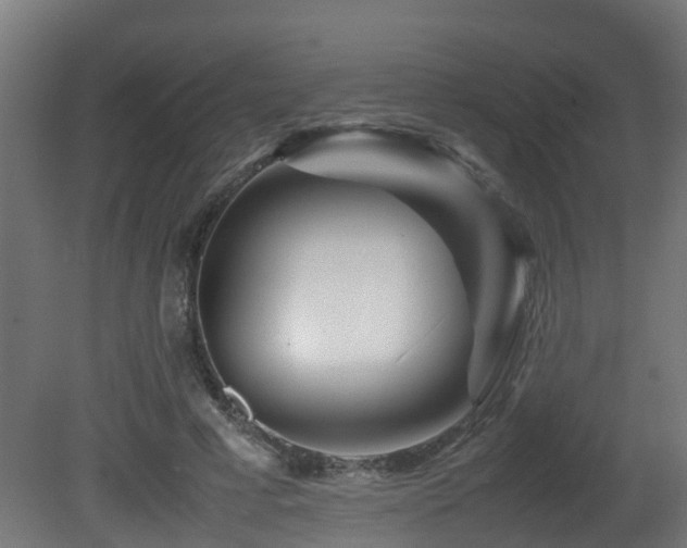 X0000081430593200701121304