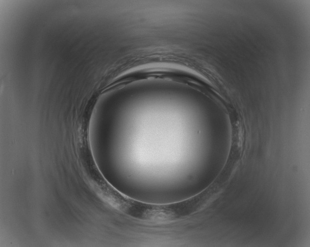 X0000081430597200701121304
