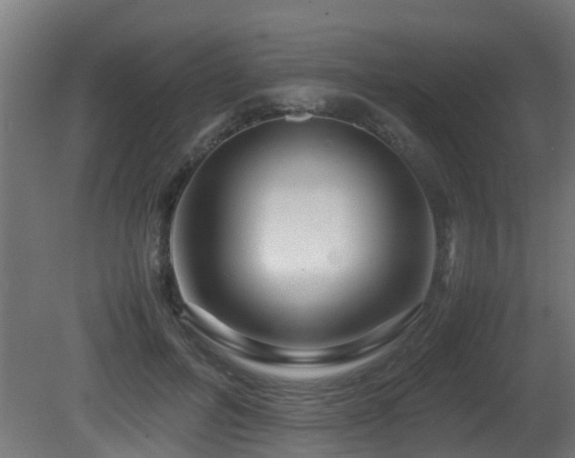X0000081430600200701121304