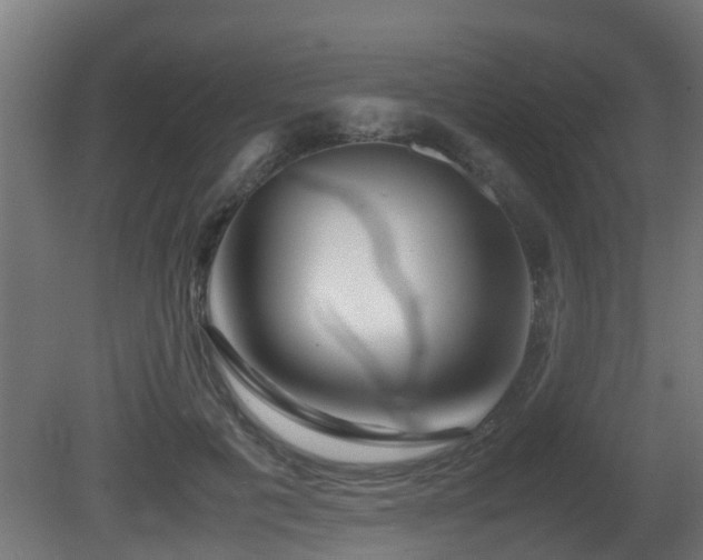 X0000081430601200701121304