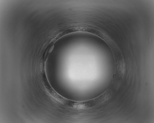 X0000081430602200701121304