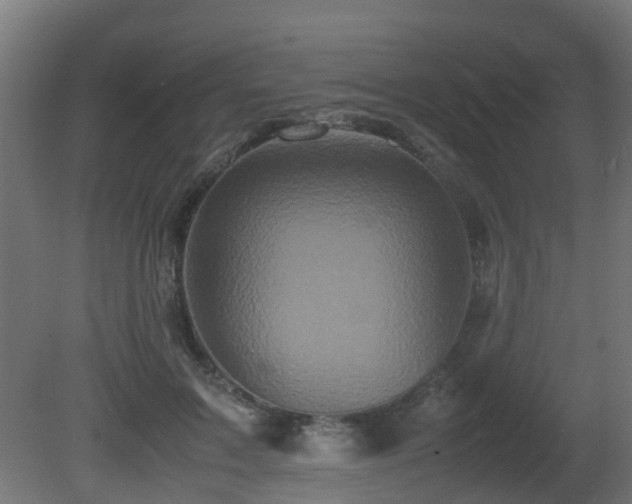 X0000081430603200701121304