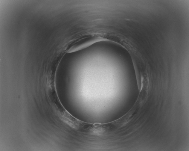 X0000081430604200701121304