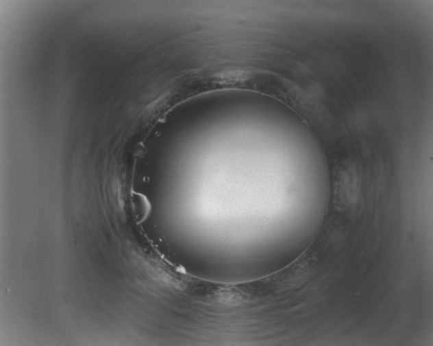 X0000081430608200701121304