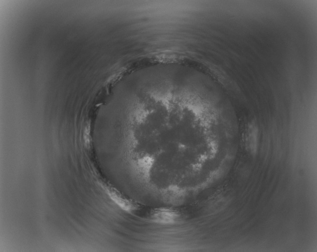 X0000081430610200701121304