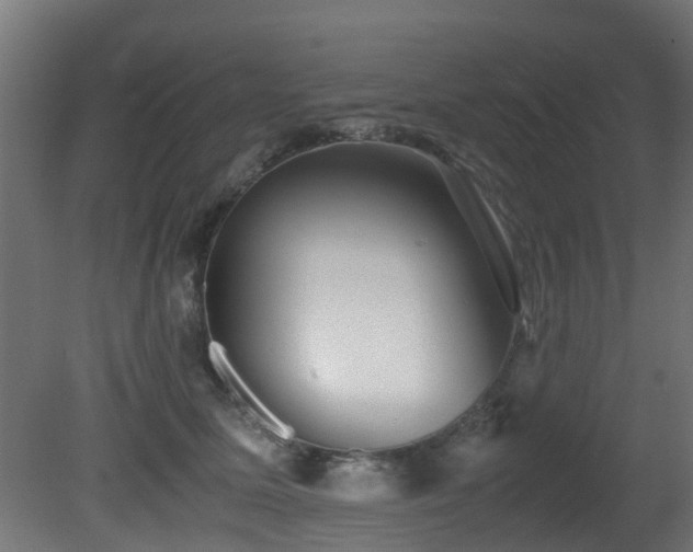 X0000081430611200701121304