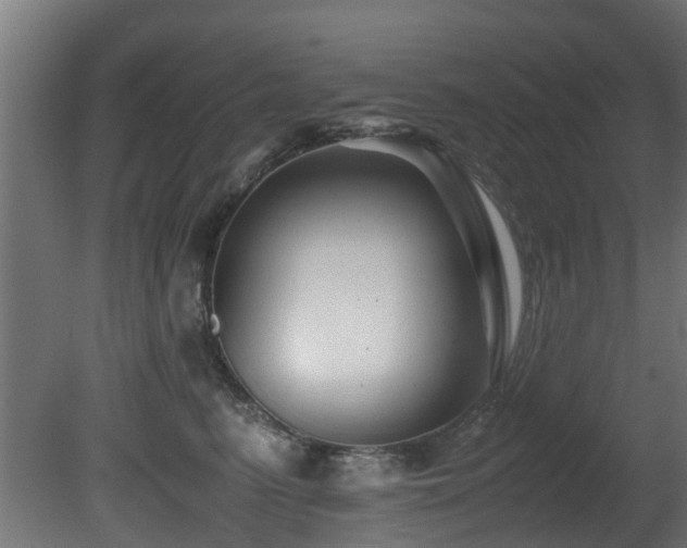X0000081430615200701121304