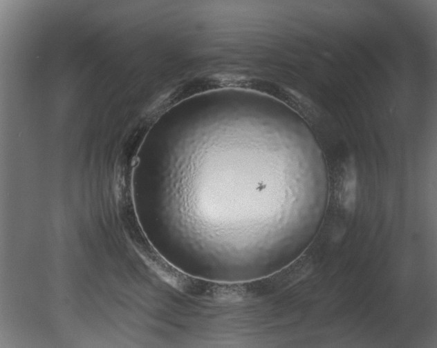 X0000081430618200701121304