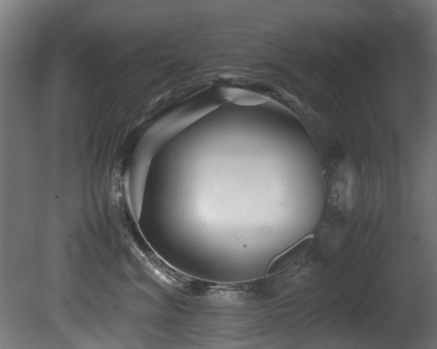 X0000081430620200701121303