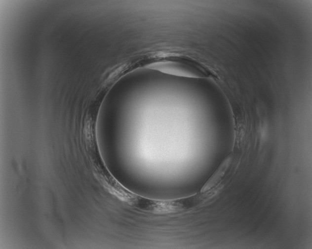 X0000081430623200701121303