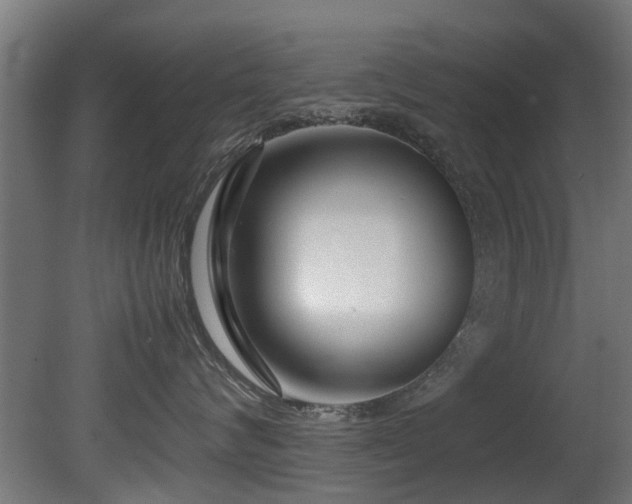 X0000081430624200701121303