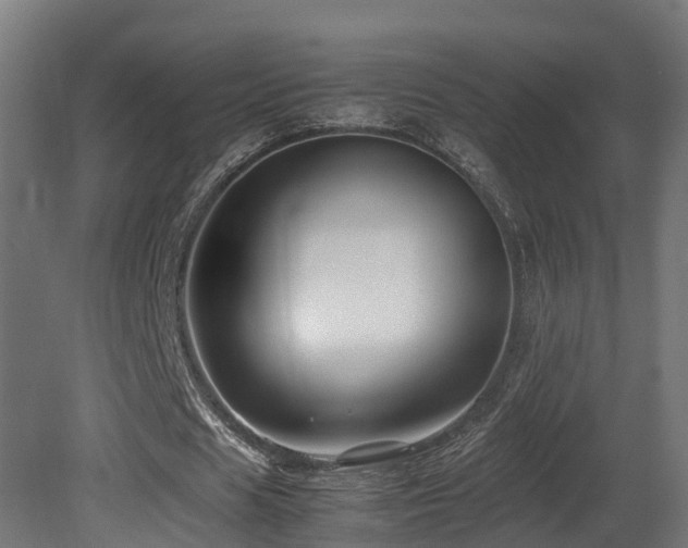 X0000081430625200701121303