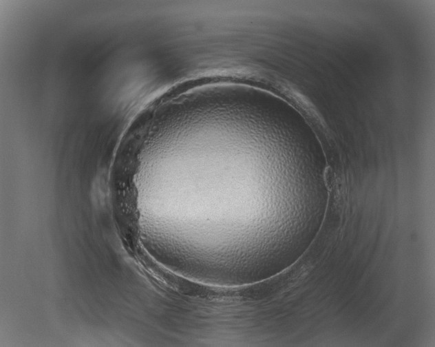 X0000081430628200701121303