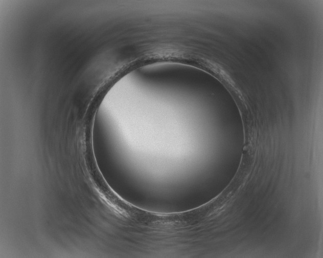 X0000081430629200701121303