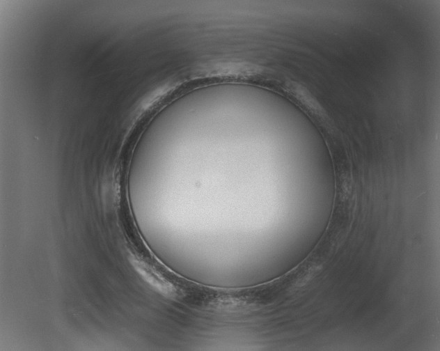 X0000081430632200701121303