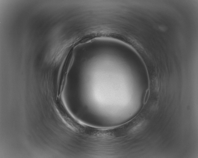 X0000081430638200701121303