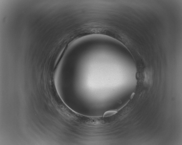 X0000081430646200701121303