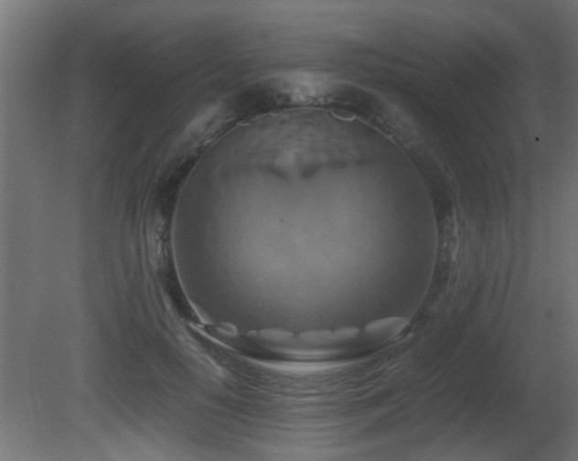 X0000081430650200701121303