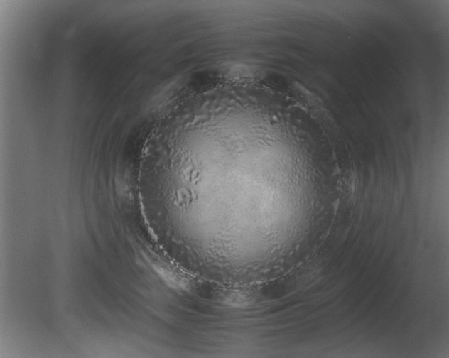 X0000081430663200701121303