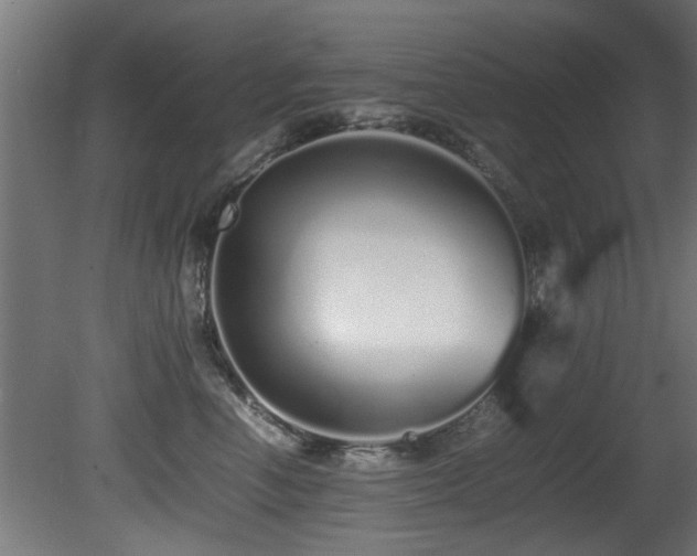 X0000081430666200701121303