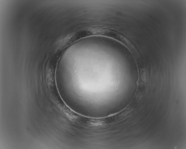 X0000081430667200701121303