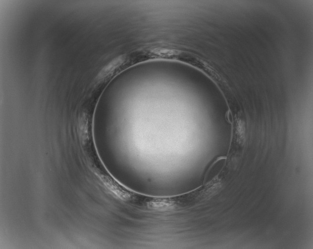 X0000081430668200701121303