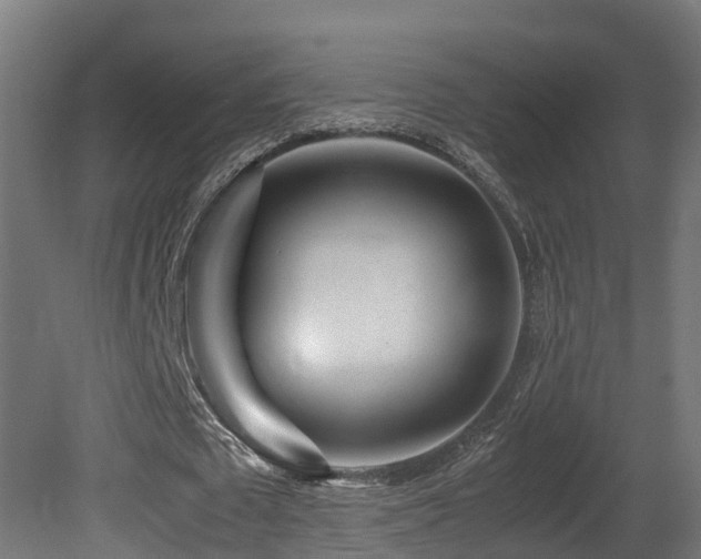 X0000081430673200701121303