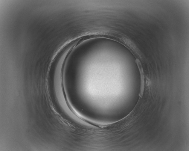 X0000081430676200701121303
