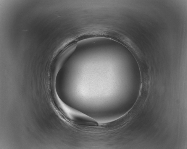 X0000081430677200701121303