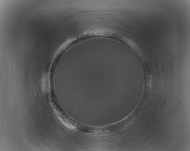 X0000081430678200701121302