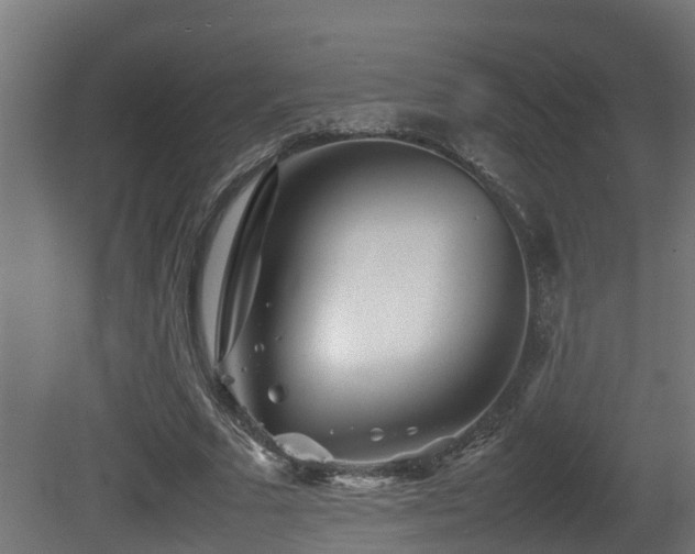 X0000081430681200701121302