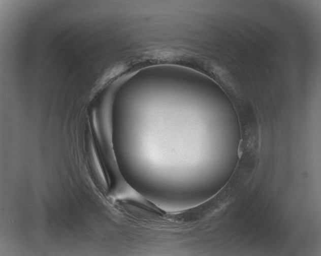 X0000081430685200701121302