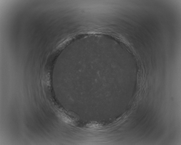 X0000081430689200701121302
