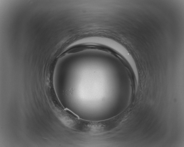 X0000081430693200701121302